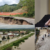 L’alluvione e la politica distratta